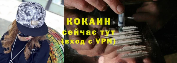ешки Белокуриха