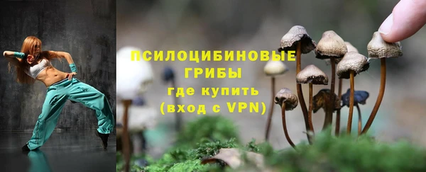ешки Белокуриха