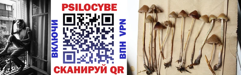 Галлюциногенные грибы Magic Shrooms  Красный Сулин 